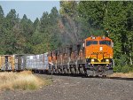 BNSF 105